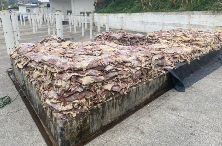  200 toneladas de carne podre que seriam vendidas são encontradas em fábrica em Carapicuíba, na Grande SP – G1