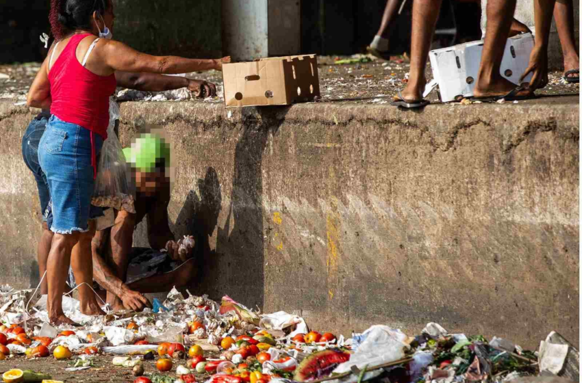  Brasil está entre os países que mais desperdiçam comida no mundo – Metrópoles
